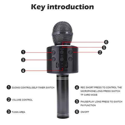 Bluetooth Karaoke Microphone