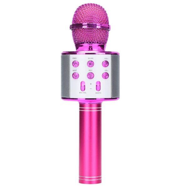 Microphone rose red.jpg
