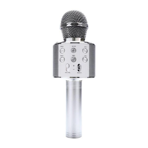 Microphone silver.jpg