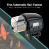 fish feeder main.jpg