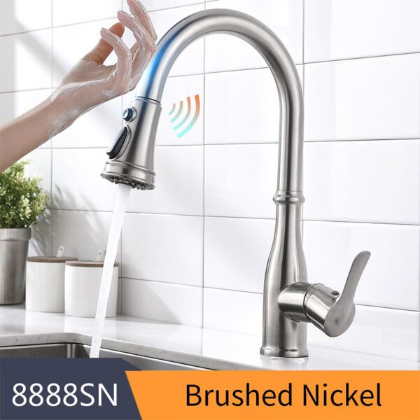 Variant 8888SN Brush Nickel.jpg
