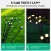 Firefly solar Lights13.jpg