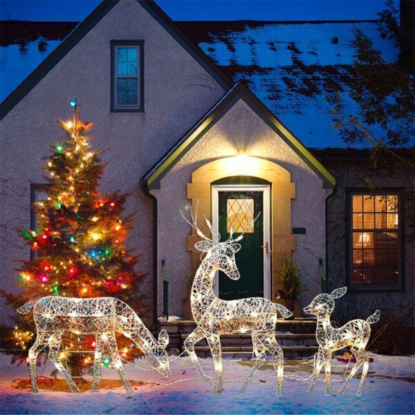 Christmas deer lights set2.jpg