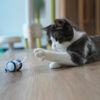 interactive mouse cat toy1.jpg