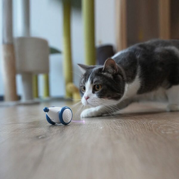 interactive mouse cat toy2.jpg