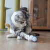 interactive mouse cat toy4.jpg