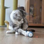 interactive mouse cat toy4.jpg