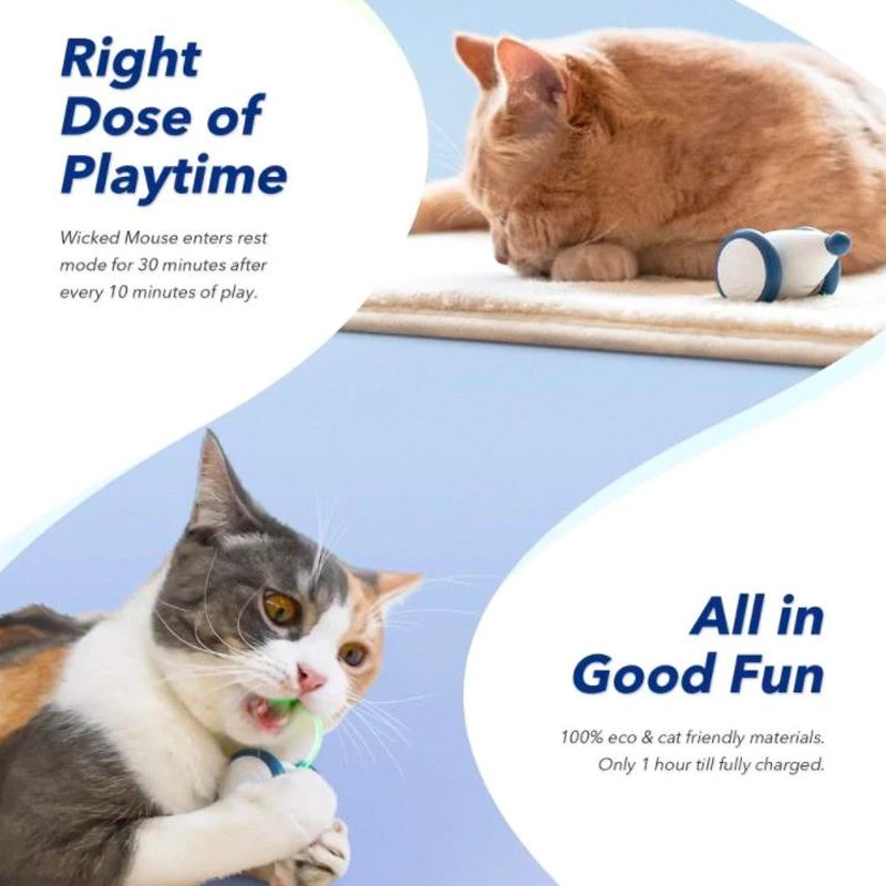 interactive mouse cat toy8.jpg