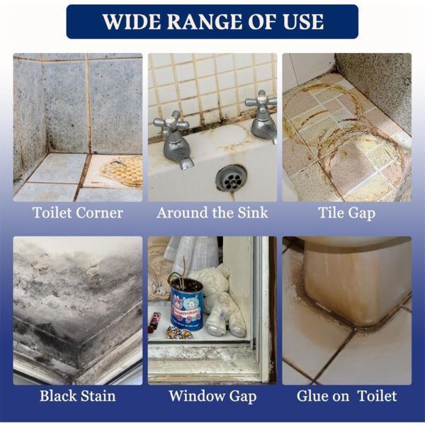 Mold Remover Spray_0001_Layer 10.jpg