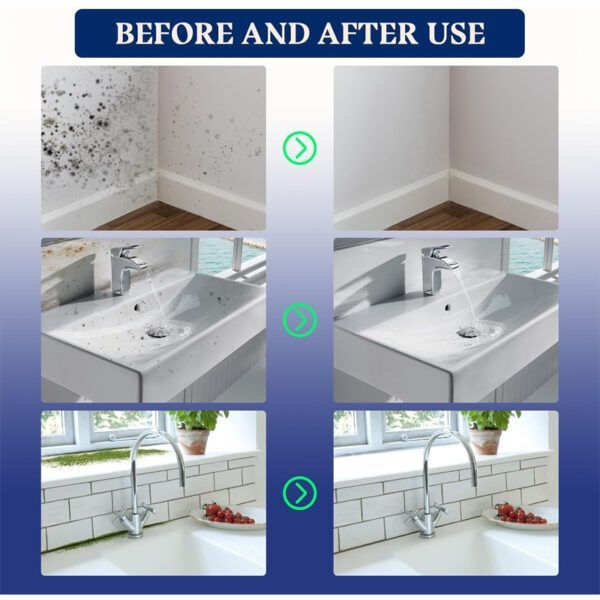 Mold Remover Spray_0002_Layer 9.jpg