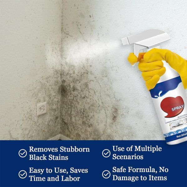 Mold Remover Spray_0003_Layer 8.jpg