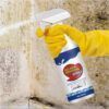 Mold Remover Spray_0006_Layer 5.jpg