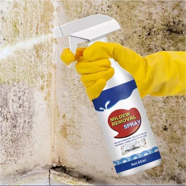 Mold Remover Spray_0006_Layer 5.jpg