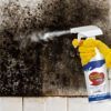 Mold Remover Spray_0007_Layer 4.jpg