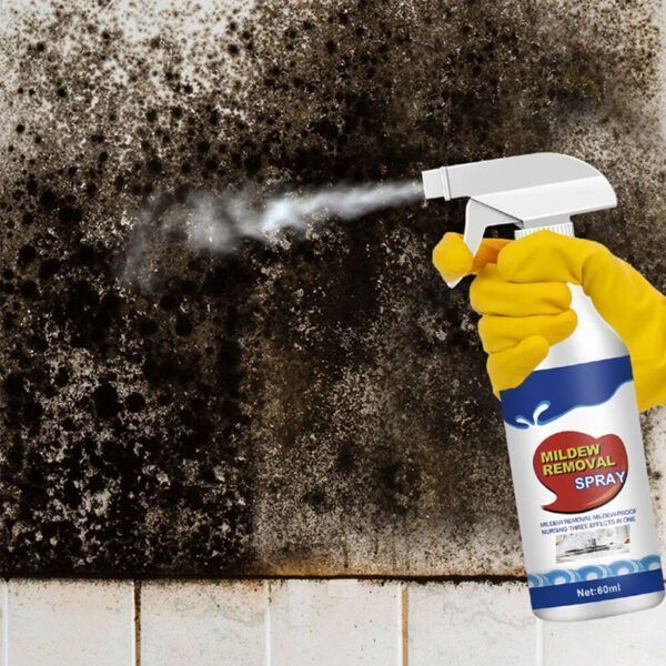 Mold Remover Spray_0007_Layer 4.jpg