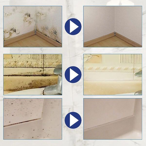 Mold Remover Spray_0010_Layer 1.jpg