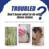 Mold Remover Spray_0015_2_ddccb2d9-6237-474b-a57b-a1dec40fbbce.jpg