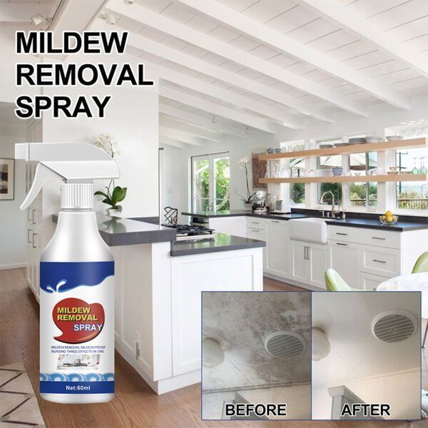 Mold Remover Spray_0016_1_afd9f47a-f577-450b-b0c7-ed981dc80982.jpg