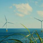 Tongkat Ali as an Energy Booster: Unlocking Your Weight Loss Potential