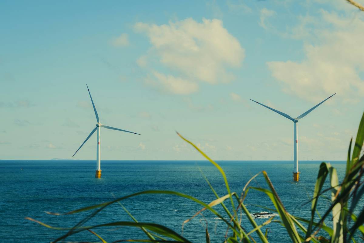 Tongkat Ali as an Energy Booster: Unlocking Your Weight Loss Potential